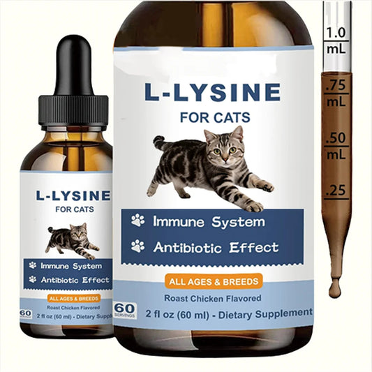 L-Lysine للقطط | مكمل غذائي طبيعي