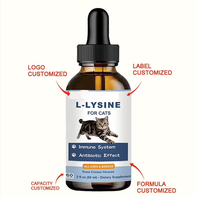L-Lysine للقطط | مكمل غذائي طبيعي